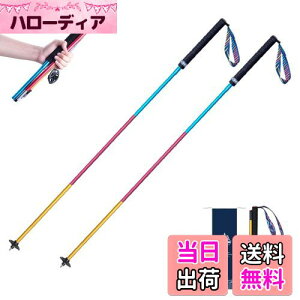 yzTRIWONDER gCjOp|[ 2{Zbg ܂肽ݎ y g|[ gbLO|[ oRXgbN EH[LO|[ mfBbNEH[LO (J