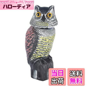 yz悯tNEAtNE̒uԎ蓮phwbhA 悯 Q΍ ӂ낤 JX悯 U ɗh360x x_ ̑lY~Ȃǂ̏