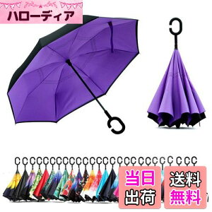 �y���������zAmersen �t�]�P �t���P �t�܂莮�P �����P ���P �藣��C�^�茳 �ϕ� �������H ���J���p �r�W�l�X�p �ԗp UV�J�b�g�Ռ��ՔM 2�N�i���ۏ� (�p�[�v��)