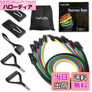 yzTheFitLife g[jO`[u `[u g[jO ؃g`[u (/VF/gF//nF)