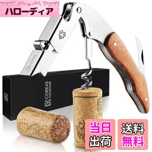 yzCORKAS \GiCt CI[vi[ RN v {ih\GiCt VOANV XeX ؐnh CK03