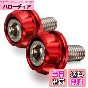 yzfCgi(Daytona) PREMIUM ZONE(v~A][) oCNp io[v[g {g M6×15mm z_[Zbg 2 bh 91945