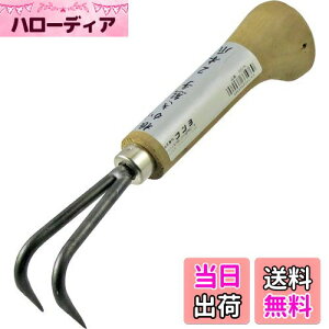 yzߗ^(KONYO) ܘY F 2{