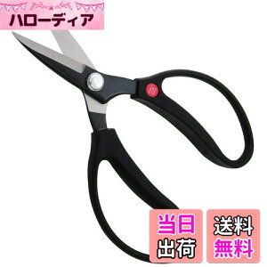 yzߗ^(KONYO) K[ftY ₷A \tgnh