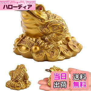 yzKingsie Or^ O{r̊^ K^  Or JG   J^ ^ ^ ɐ ObY CeA 蕨