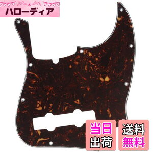 yzMusiclily Pro 10 vVWx[XPBsbNK[h5Fender American Precision BasspAꈍb4P