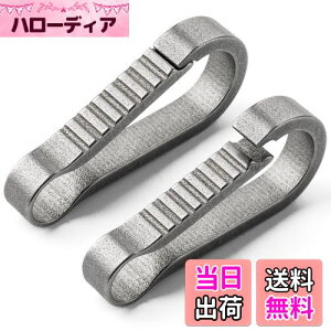 【送料無料】TIMULTI チタン カラビナ 小型 鍵 車 キーホルダー クイックリリース キーフック バックパック ベルトループ おしゃれ 紛失防止 取付簡単 頑丈(グレー/Sサイズ 2個)