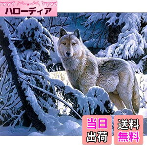 yzDIYNXXeb`Lbg_ChG5DhLbgA~̐TWOWDECORthDIY_ChA[gyCgG (T)