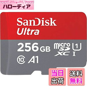 【送料無料】SanDisk SDSQUA4-256G-GN6MN 海外リテール アダプター無