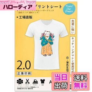 yzTransOurDream ^̓]ʃV[g ACvgV[g2.0  ?Fnp A4 20 vgV[g ]ʎTVc]ʃV[g M]ʃV[g ɋ JP-2-20