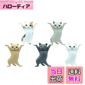 yzMRZJ JKRLyz_[lR̃y S5Zbggyz_[ (5PCS)