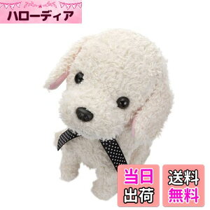 yzZKgCY(SEGA TOYS) RR  N[