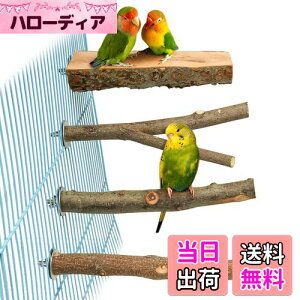 4_Zbg  ~܂ ~܂ ܂𖁂񂲂̖ R ނ ܂ p[` CR IE   ZLZCCR IJCR ₷݃{[h Vѓ P[WANZ