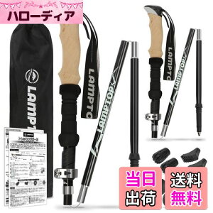 yzLAMPTOP gbLO|[ 2{Zbg oRXgbN A_[Obv ܂肽ݎ y7075A~ 280g 100`120cm߉\ RpNg EH[LO|[ [P[Xti