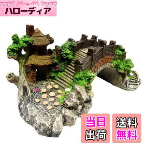 yzCharmoon ANAE  IuWF  A[` B VF^[ A a {뉀 (MTCY)