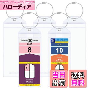 yzWisdompro ו^Oz_[ h D X[cP[X l[^O rj[ Q[W^O N[YDו^O N[Ys gxp 5 NA (7.2 x 19 cm)