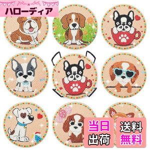 Sitengle _ChA[g R[X^[ Lbg8 r[YA[g _CAhA[g Zbg DIY_ChyCeBO 5D_ChhLbg z_[t R[X^[ |Lbg