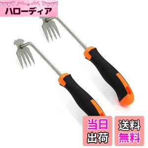 蓹   蓹 ܂ G G 2 XeX|  芙  Ƃ蓹 G  G ނ  ނ 