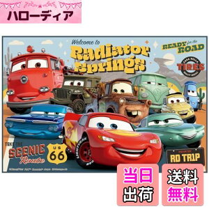 yzXP[^[(Skater) qp W[V[g  STCY 60×90cmTCY fBYj[ J[Y 24 VS1-A