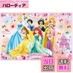 【送料無料】スケーター(Skater) 子供用 レジャーシート 遠足 Sサイズ 60×90cmサイズ ディズニー プリンセス 24 VS1-A