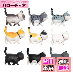 yzKALOLINNA tBMA L qLߋZbg 9Zbg LObY ~jgC  킢 K[fI[ig ԓ CeA  G LL ap[e