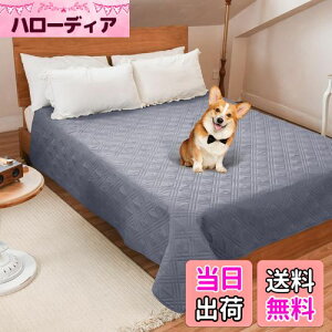 LOOBANI hJo[ xbh hV[c VO _u xbh  Lp xbhJo[ h \t@[ hV[c Rh~ ~ ƋveN^[ ۂƐ􂦂 ݑϐ  L h_j 