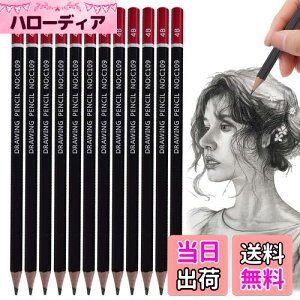 【送料無料】PAVIKE 書き方鉛筆 4b 書きやすい 12本セット 太芯 硬筆書写用かきかた鉛筆 デッサン用鉛筆丈夫で芯が折れにくい 六角軸 絵画 スケッチ 描画 学生や専門家のためのアーティスト鉛