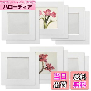 Haojiaho y[p[tHgt[ 12Zbg q̊G Wp tHgt[ WTCY8.8*8.8cmyیtB + Ǌ| pSV[g tz  A[gt[ y  G拳 