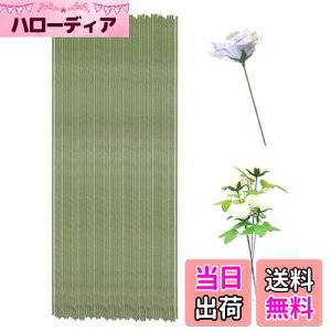 yzKDSSYFT Ԃ̌s 100{ 0.7mm t[DIYp nC[  |pLbg ԑ Mtgp Ȃ\ t[C[ `f (O[)