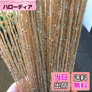 【送料無料】HYSENM ストリングカーテン ひものれん 2枚入り 100x200cm 11色選べる 色褪せなく 目隠し ラメ入り 間仕切り プライバシー確保 キラキラ光る 高密度 インテリア, シャンペン 100x200cm