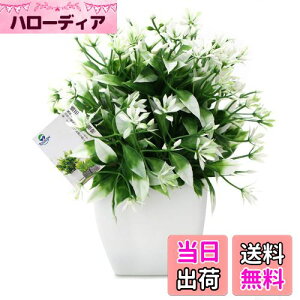 yzTOSSOW lHϗtA  tFCNO[ tFCNϗtA l CeA v[g ΂Ɣt