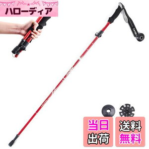 yzTRIWONDER gbLO|[ ܂肽 oRXgbN EH[LO|[ yʃA~ 1{Zbg RpNg [obOtit (bh - 110cm)