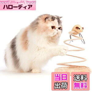 yzL ] lY~ Lpmߋ VԔ TCUʂ V ^s XgX L炵̂ (˂)