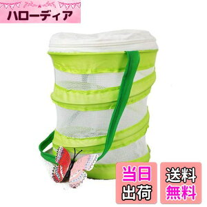 yz P[X P[W lbg ܂ݎ RpNg ̏W  肩 V (14x15cm ی^)