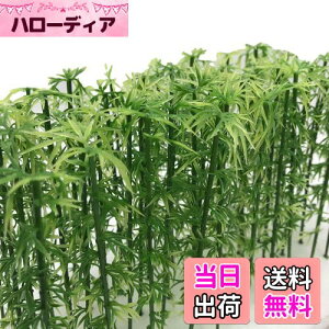 yzmDauStagen   | V̖   X ͌^ NQ[W WI} S z p  ~j`A 14.| 12cm 20{