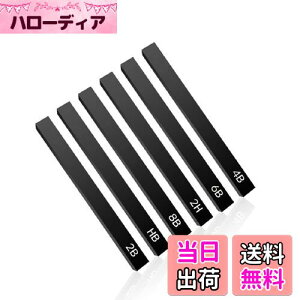【送料無料】himsyuden 画用木炭筆 6本入 画材 木炭スティック 木炭 スケッチ 鉛筆 デッサン用の木炭棒 絵具 美術用品 塗り絵 描き 素描 プロのアーティスト