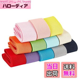 【送料無料】BENECREAT 全長12m幅40mm 平ゴム 織りゴム カラフル 12色 弾性バンド 手芸裁縫 裁縫材料 交換バンド 裁縫用 手芸 交換 手作り素材