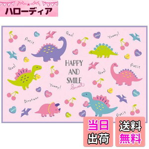 yzXP[^[(Skater) qp W[V[g  STCY 60×90cm nbs[&X}C VS1-A