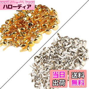 yzs sHiF+Fe100j bg҂ e e S Œp DIY ANZT[ Ntgp s pp ސAo XNbvubN s