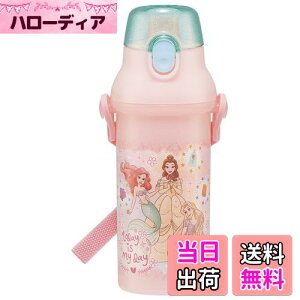 【送料無料】スケーター(Skater) 水筒 480ml プリンセス 23 子供用 女の子 抗菌 プラスチック製 日本製 PSB5SANAG-A