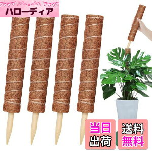 yzYOUSHY440cm|x ϗtAXe x wSx鐫A ϗtA RRXeBbNx AT|[gt[X^h RRibcx Ԏx K[fjOx _