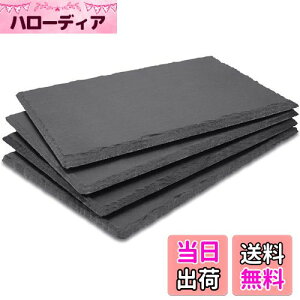 【送料無料】スレートストーン GOH DODD 4枚 25 × 12 cm 長角皿 天然石 プレートストーンおしゃれ な スライス (クッション付き)