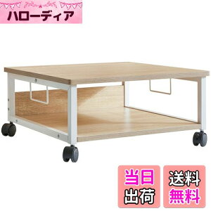 yzIBUYKE v^[ 2i ItBXS [ [ fXN ω׏d50kg LX^[t 50cm s50cm 24cm i` JPTLJ008R