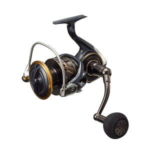 yz_C(DAIWA) XsjO[ 22CALDIA(JfBA) SW 10000-P