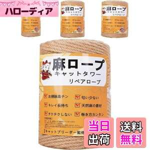 yzyƊďCz[v  6mm R Ђ yA[v L^[ XNb`[ ܌ Lbg^[p ܂Ƃ  DIY |(100m)