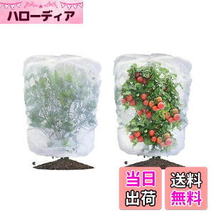 yzLIANHATA hlbg 2Zbg AیJo[ bVВ hlbg 悯Jo[ ؖ ΍ ʋC  Ap ؍͔| ؉v^[p (80*80cm)