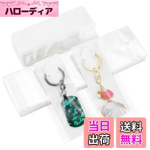 yzPH PandaHall 䎆 uXbg L[z_[p 100 OPPܕt L[O Wp  WJ[h n ANZT[p[c ̔p WG[p nhCh ifBX