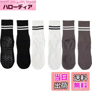 yz[DFsucces] K\bNX ~ KC 3 Õ\bNX  ۉ seBX \bNX RۏLC z z ʋC X|[c tBbglX I[V[YΉ 