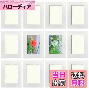 Haojiaho A[gt[ 12Zbg q̊G Wp tHgt[ 7.9*11.7cmyیtB + Ǌ|pSV[g tz y  G拳 G W y[p[tHgt[ q