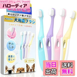 �y���������zSOMOTO �� ���u���V ���^�� �y�b��t���ďC�E1���{�̒��ɍזсz���p���u���V �y�b�g �L �i�m���u���V ���o�P�A/�_�炩��/���s�ɗD���� �y���p�E�L�p�E�J���t����4�F�Z�b�g�z